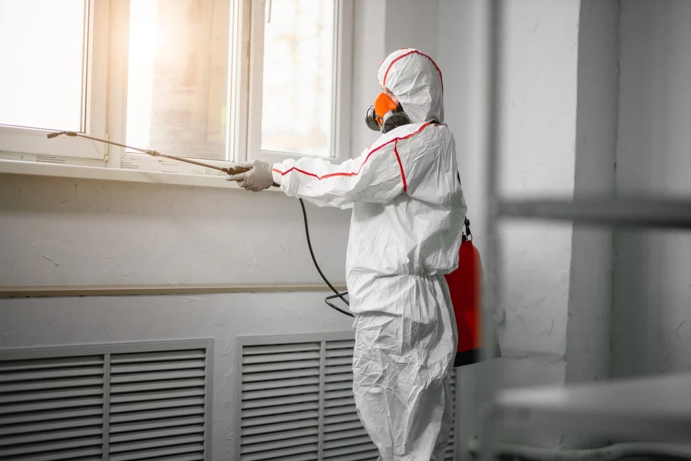 Professional mold remediation services in West Boothbay Harbor, ME